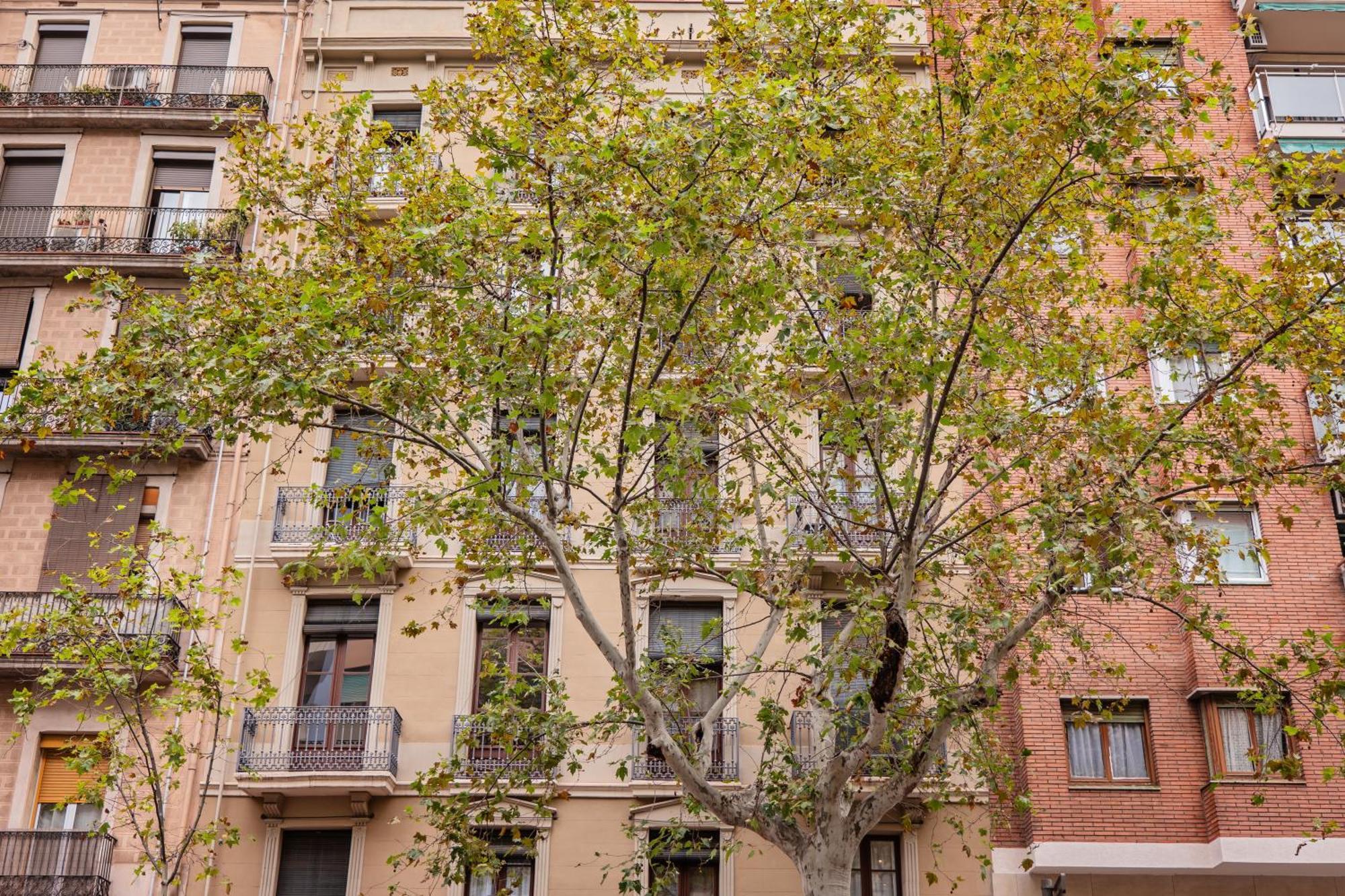 شقة Sweett - Urgell Eixample برشلونة المظهر الخارجي الصورة